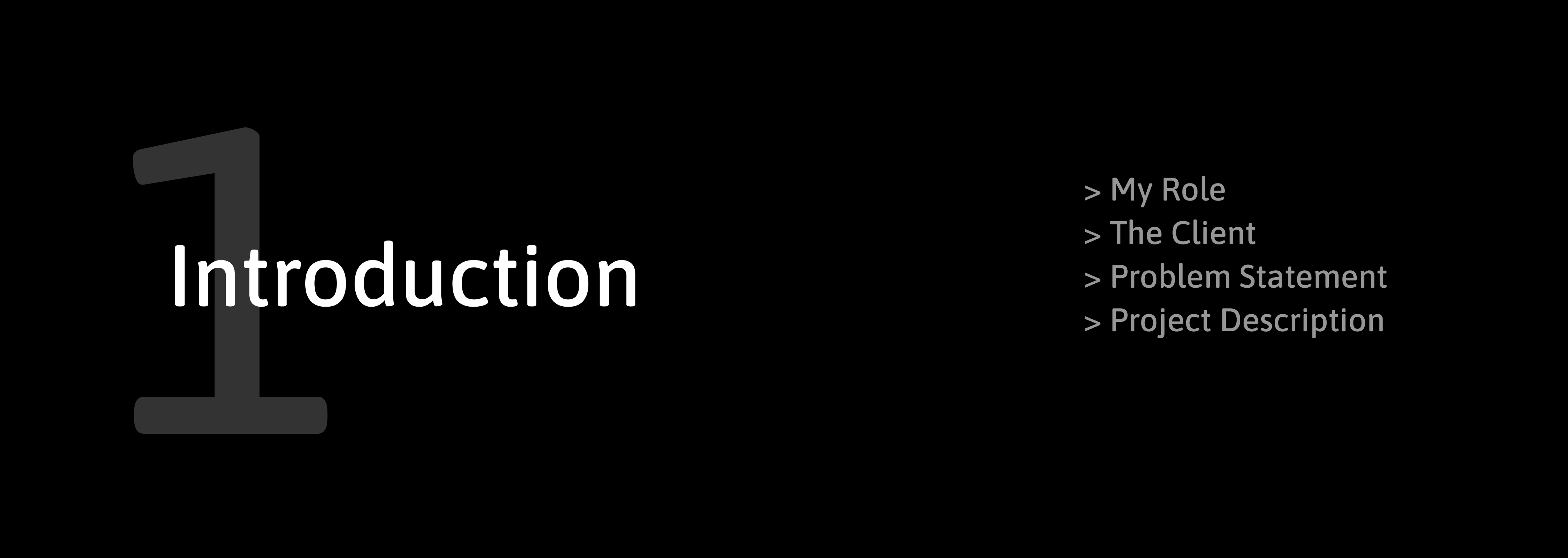 SDU intranet: Chapter 1 - Introduction