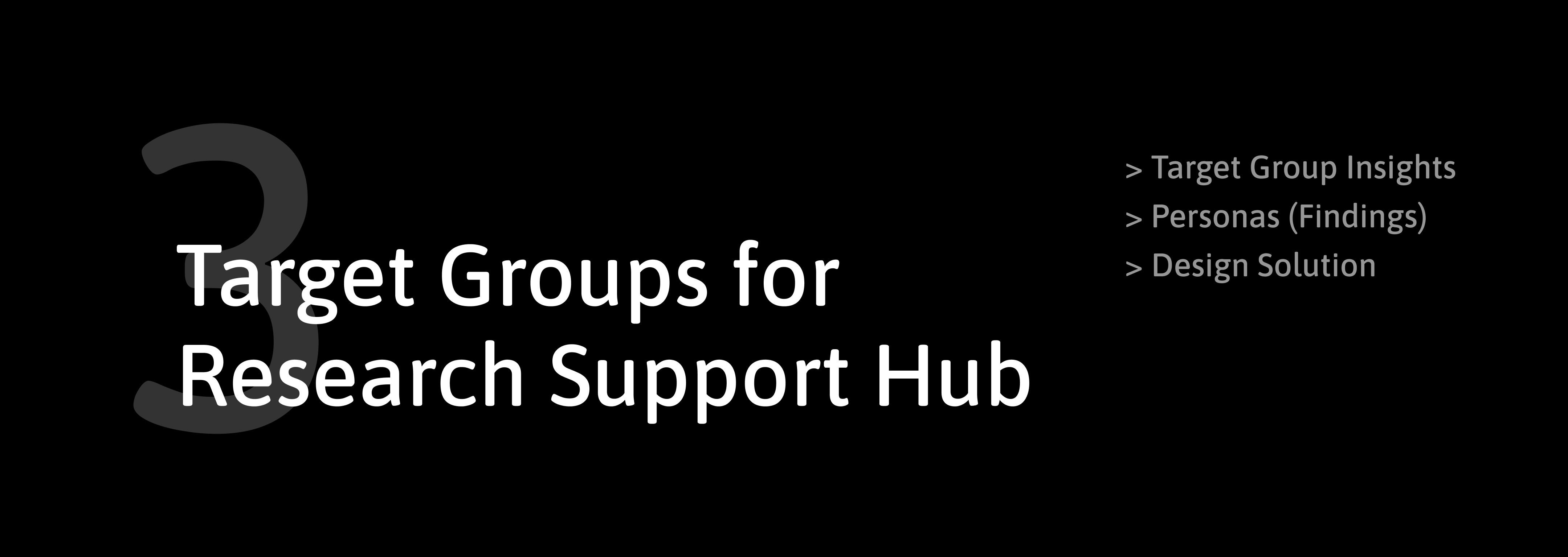 SDU intranet: Chapter 3 - Target Group